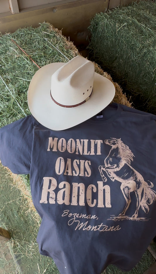 Moonlit Oasis Ranch